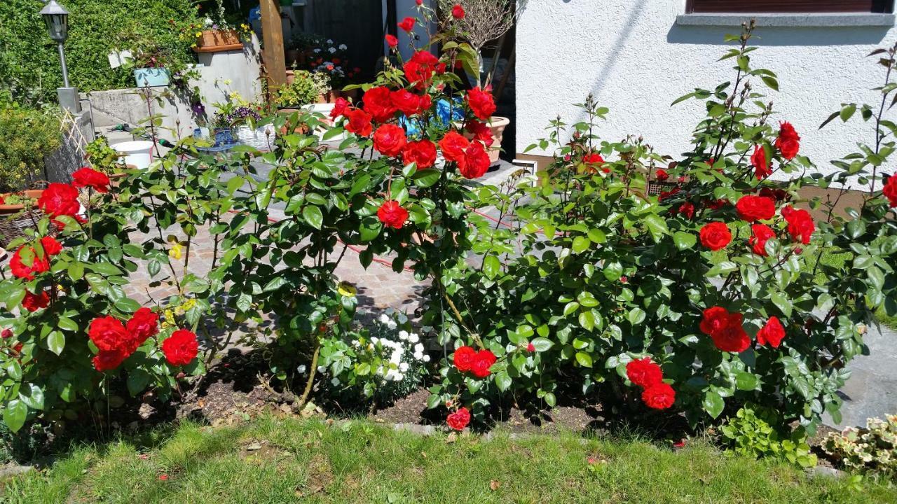 Ferienwohnung Kaiserstuhlblick Teningen Exterior foto