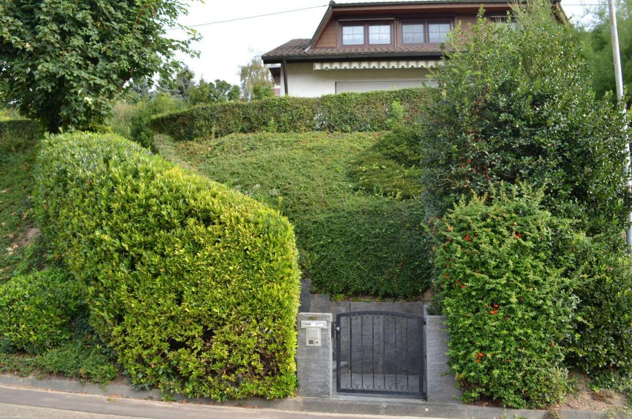 Ferienwohnung Kaiserstuhlblick Teningen Exterior foto